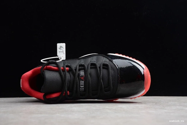 Chep Onekick  mens 11 Air 